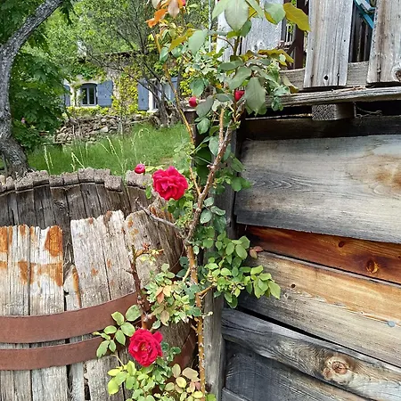 Bed & Breakfast Amaya Faucon-de-Barcelonnette